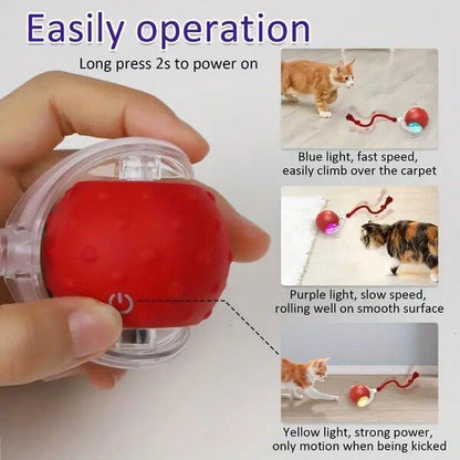 Smart Interactive Cat Toy Ball - Fast Rolling on Carpet, Chirping & Motion Activate for Indoor Cats Automatic Interactive Kitten Interactive Chirping